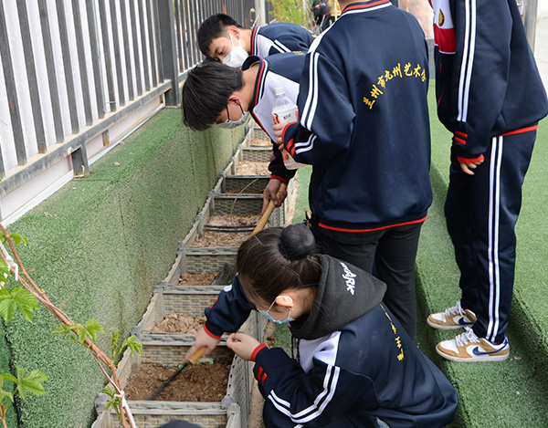 学生园地